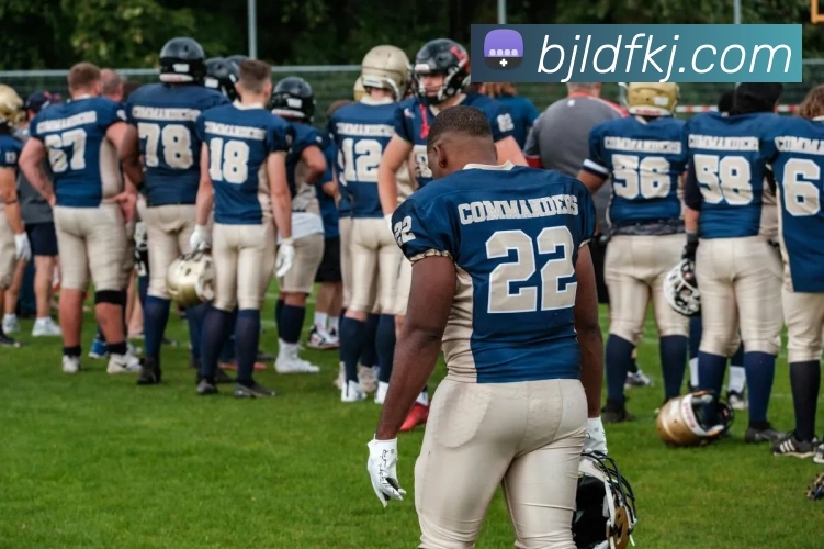 巅峰国际平台生态图