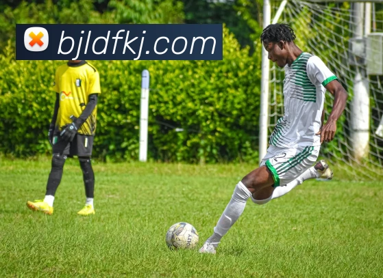 巅峰国际APP 封面图